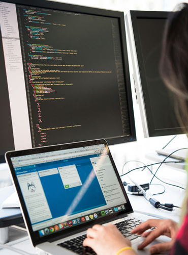 Web Development